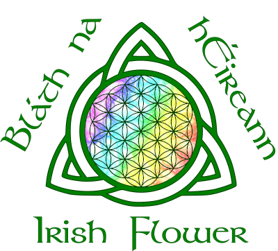 Irish Flower Logo Small